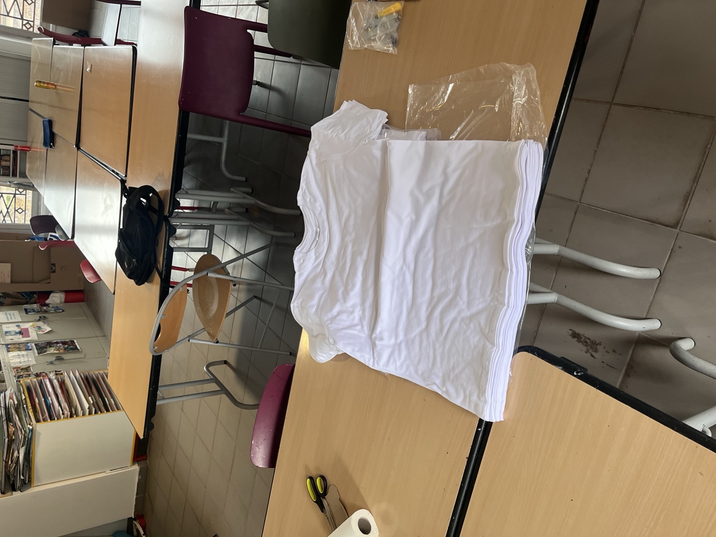 T-shirts vierges